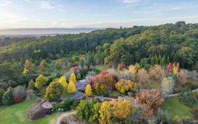 Why the Adelaide Hills should be on your Australia bucket list