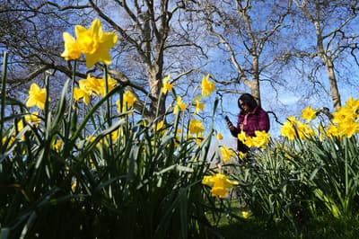 London basks in hottest day of the year as temperature tops 20C