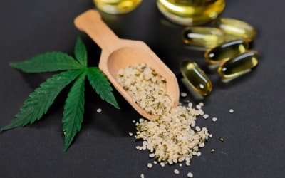 Best CBD oil in the UK 2026: Top brands reviewed