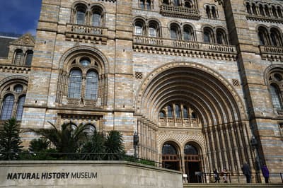 Natural History Museum becomes UK’s top attraction for visits