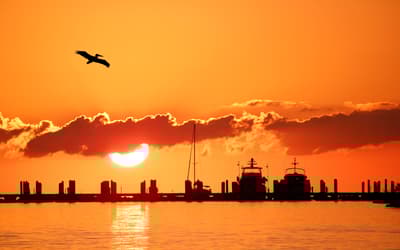 Miami to Key West: Drive the Overseas Highway through the Florida Keys