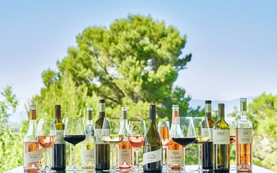 Provençal Wine: Choosing the Best Rosé