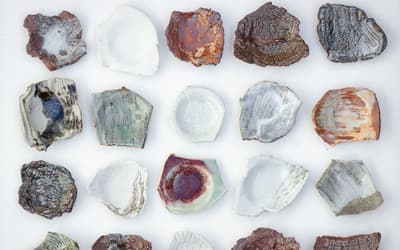 All the best interiors events, books, markets and daytrips in August