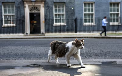 Best Photos of the Day