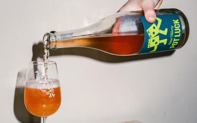 The 10 best pet nats for a natural fizz