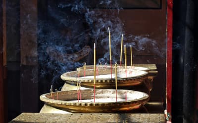 Best amber fragrances for a warming scent