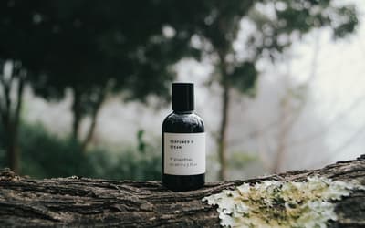Top masculine summer fragrances for men
