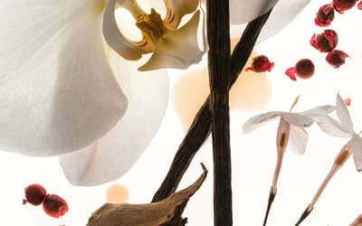 Best gourmand perfumes