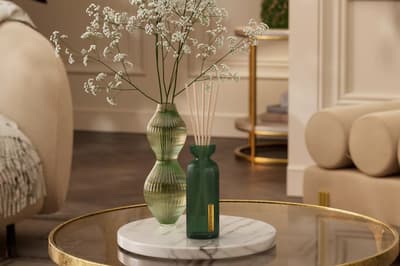 Best cheap reed diffusers for a calming fragrance in your home