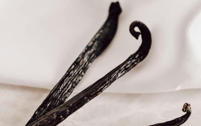 Best vanilla perfumes for a gorgeous fragrance